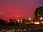 08070619.CIMG5277.JPG
