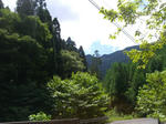 08083110.CIMG5569.JPG