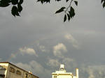 08091917.CIMG5702.JPG