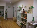 08111217.CIMG5885.JPG