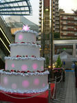 08112416.CIMG5965.JPG