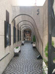 08121311.CIMG6026.JPG
