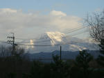 09010308.CIMG6142.JPG
