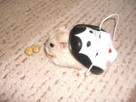 09020321.CIMG6216.JPG