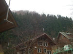 09031417.CIMG6385.JPG