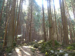 09041109.CIMG6598.JPG
