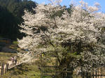 09041109.CIMG6602.JPG
