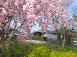 09041211.CIMG6618.JPG
