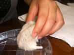 09072312.CIMG6936.JPG