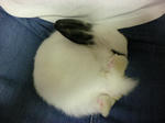 2009_0905_213349-SANY0011.JPG