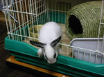 2009_0916_011156-SANY0029.JPG
