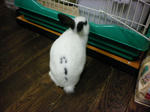 2009_1004_000733-SANY0003.JPG
