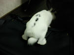 2009_1004_000841-SANY0006.JPG