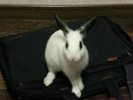 2009_1004_070348-SANY0052.JPG