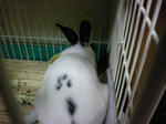 2009_1004_072731-SANY0056.JPG