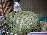 2009_1020_103943-SANY0128.JPG