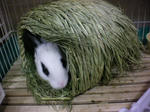2009_1020_104829-SANY0137.JPG