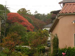 2009_1026_121207-SANY0005.JPG