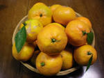 2009_1117_224430-SANY0010.JPG