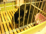 2009_1221_172200-SANY0005.JPG