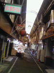 201002081209001.jpg
