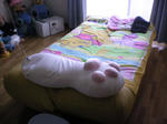 2010_0212_165214-SANY0001.JPG