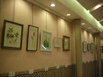 2010_0226_162702-SANY0002.JPG