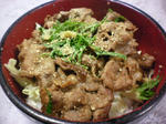 2010_0309_124757-SANY0005.JPG