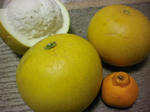 2010_0323_200355-SANY0088.JPG