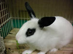 2010_0322_183620-SANY0079.JPG