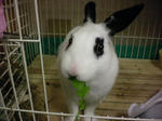 2010_0504_103144-SANY0018.JPG