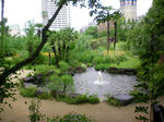 2010_0709_111207-SANY0037.JPG
