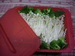 2010_0526_193215-SANY0008.JPG