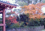201011151324000.jpg