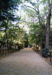 201011151541000.jpg