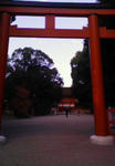 201011151607000.jpg