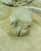 070806b.jpg