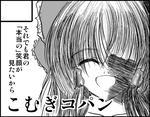 東方紅楼夢２　サークルカット
