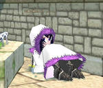 eru04.jpg