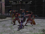 Nol08030503.jpg
