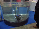ロボット展2007－３