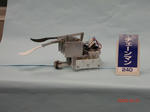CIMG2606.jpg