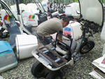 NEC_0136s.jpg