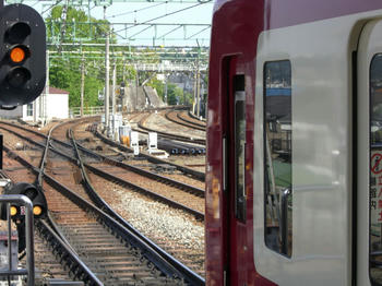 dd3e54cf.JPG