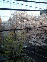 PAP_0170.JPG