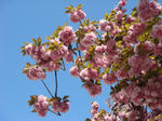 DSC00544.JPG