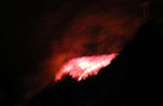 IMG_4485.jpg