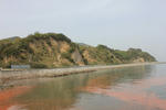 IMG_4526.jpg