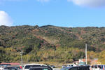 IMG_4694.JPG