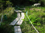 IMG_5060.JPG